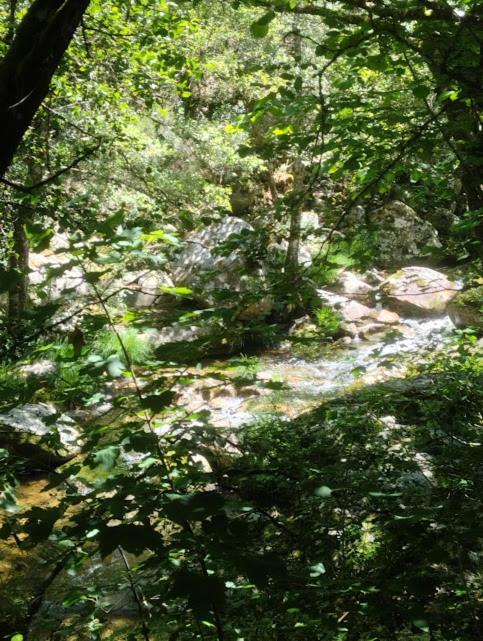Villa O Recuncho Da Isa - Ribeira Sacra Pereiro de Aguiar Exterior foto